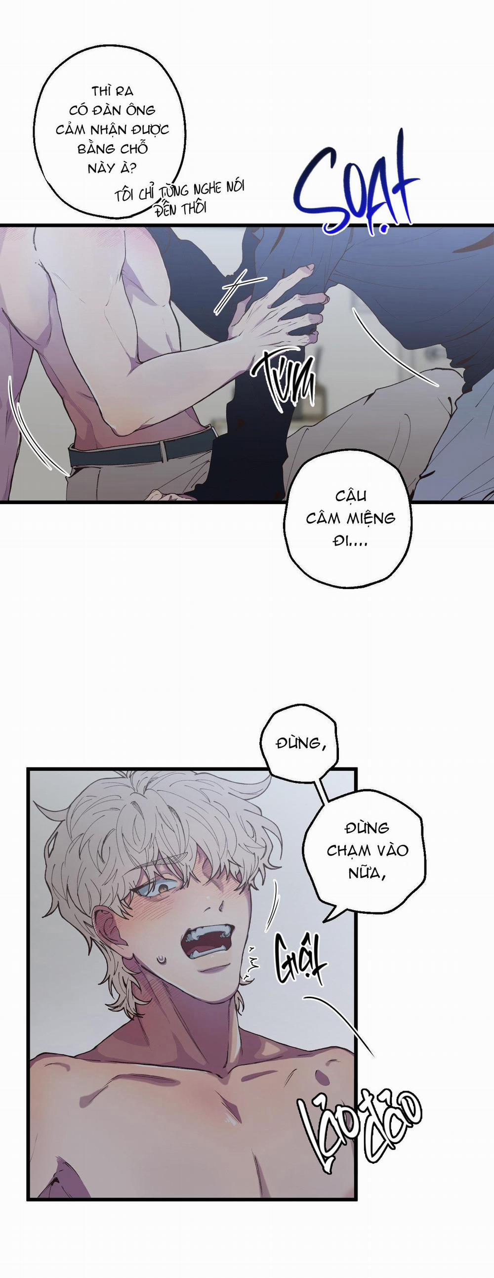 Mối Tình Bị Động 3 trang 19