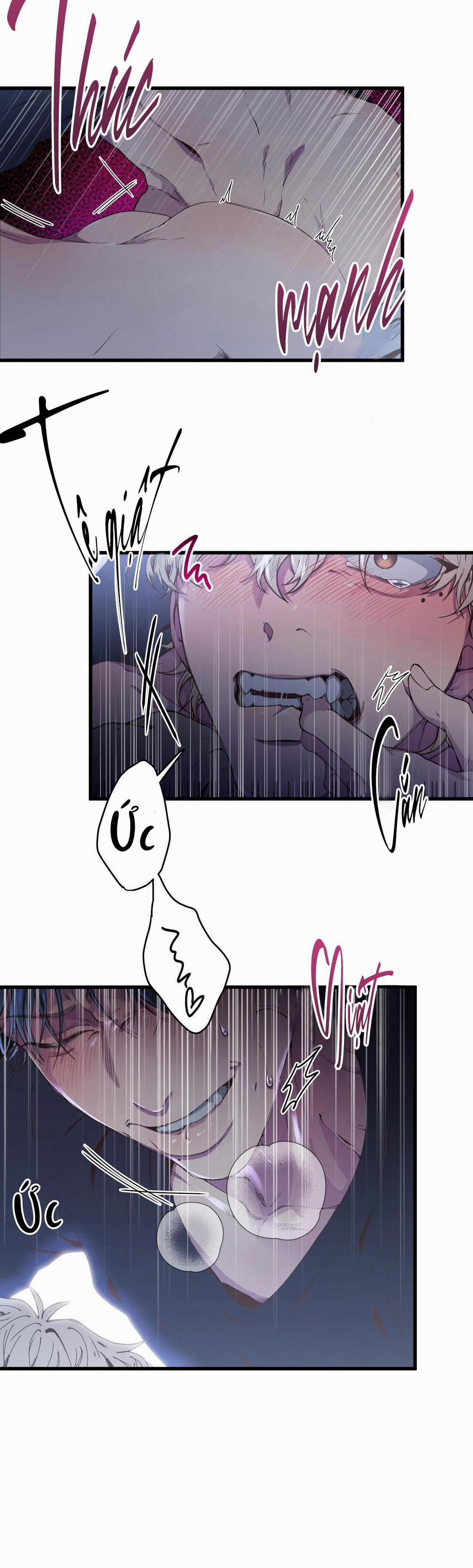 Mối Tình Bị Động 4 trang 13