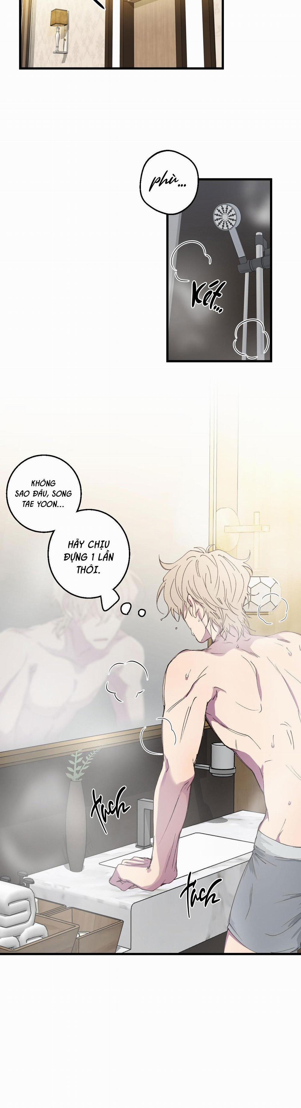 Mối Tình Bị Động 8 trang 19