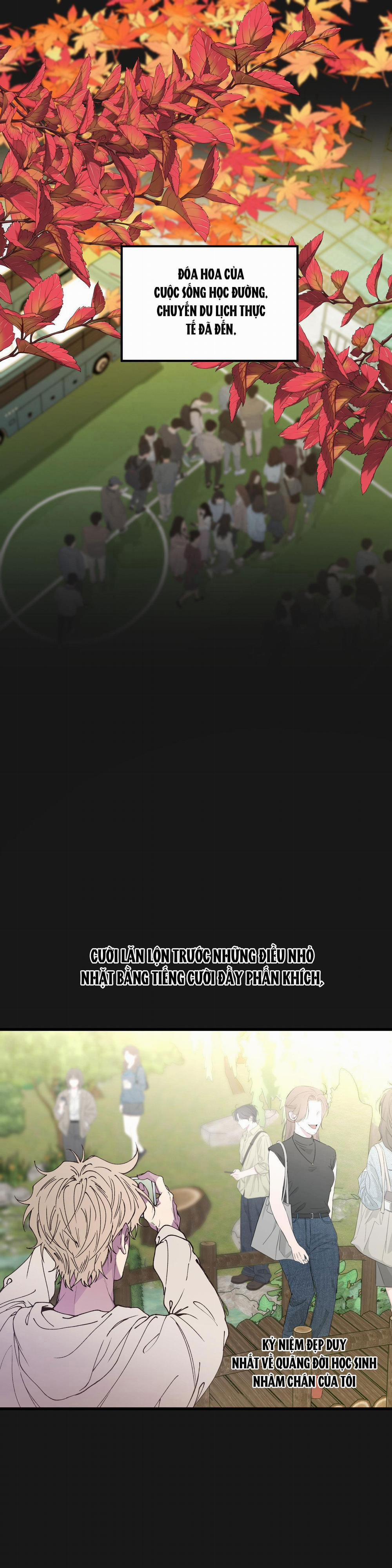 Mối Tình Bị Động 8 trang 3