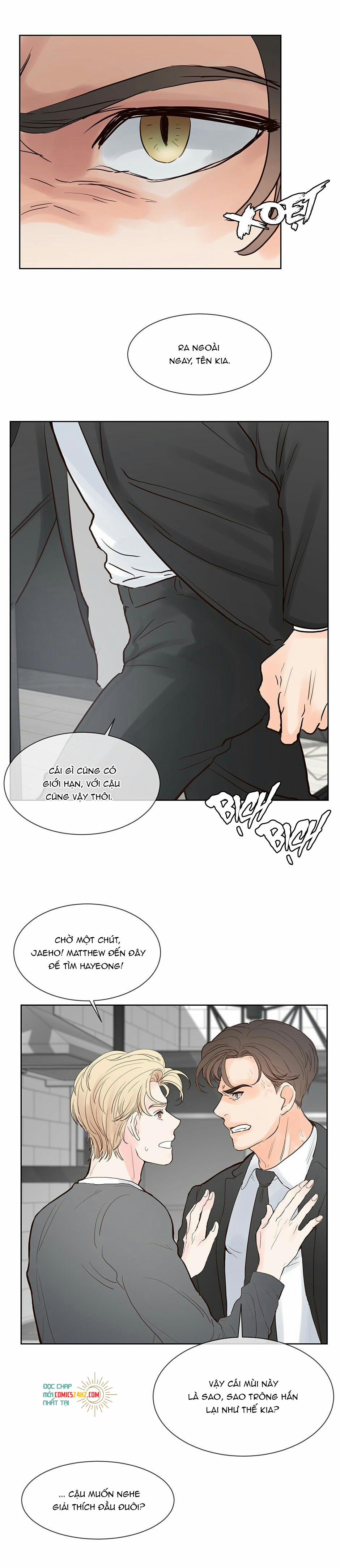 Mối Tình Chớp Nhoáng 43 trang 11