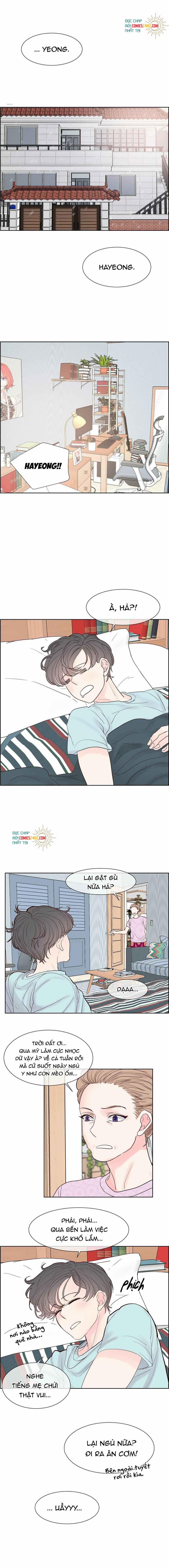 Mối Tình Chớp Nhoáng 46 trang 0