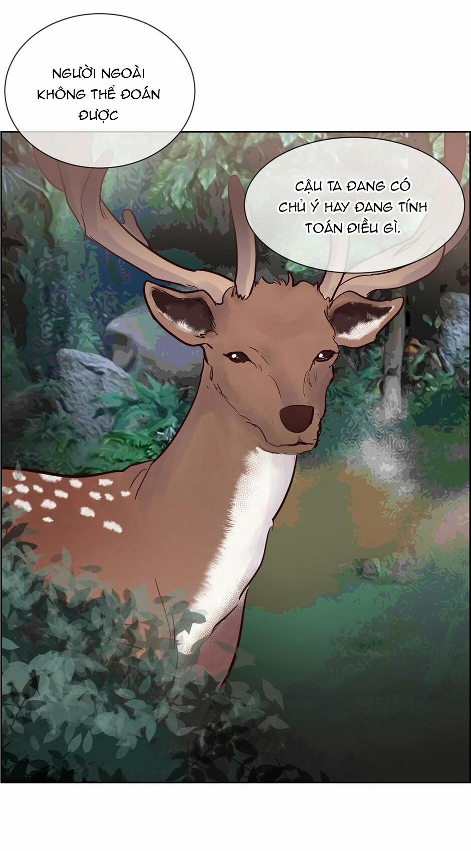 Mối Tình Chớp Nhoáng 50 trang 19