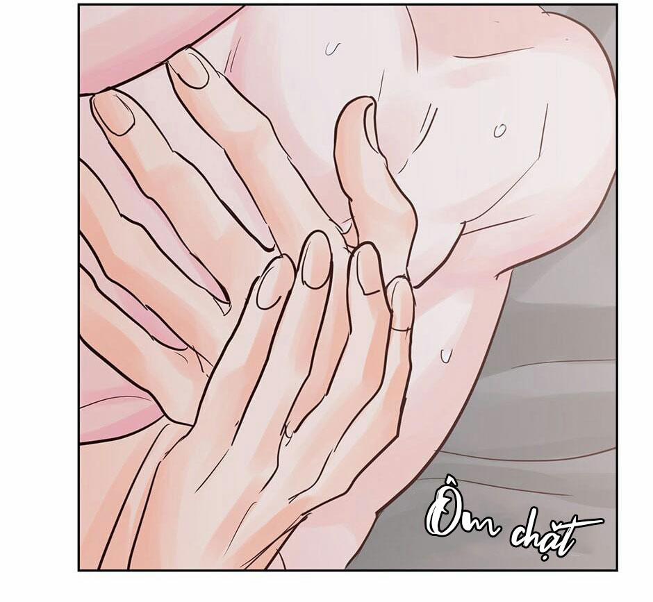 Mối Tình Chớp Nhoáng 51 trang 26