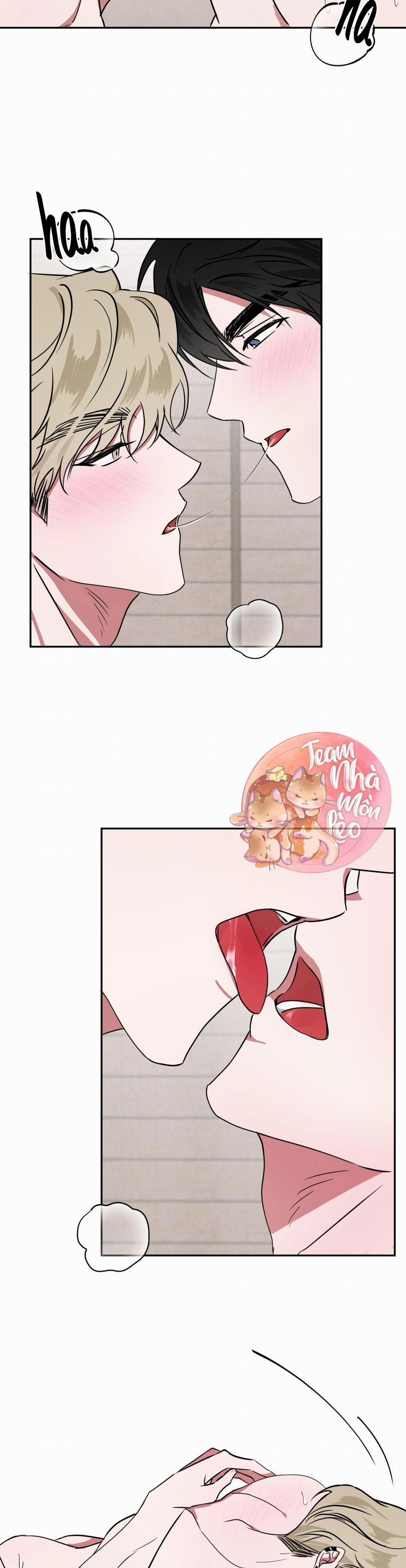 MÓN QUÀ BẤT NGỜ 10 trang 14