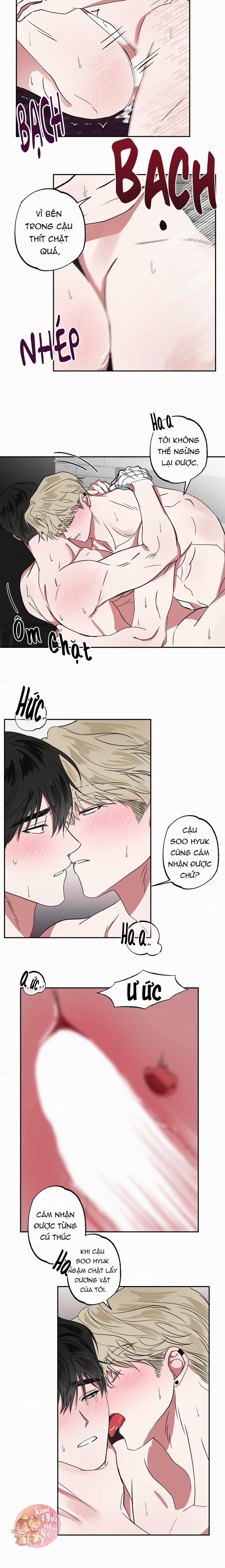 MÓN QUÀ BẤT NGỜ 6 trang 5