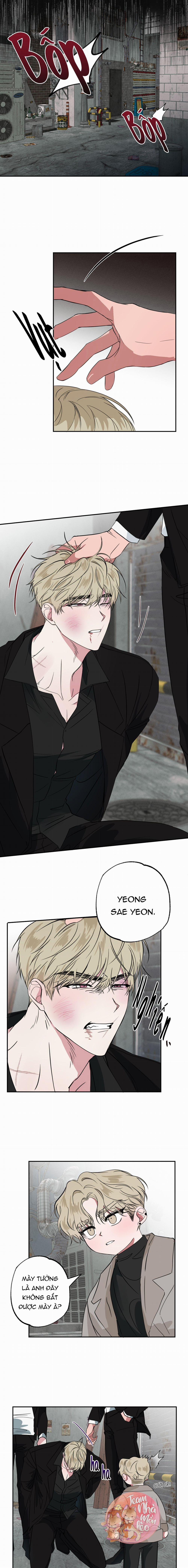 MÓN QUÀ BẤT NGỜ 8 trang 3