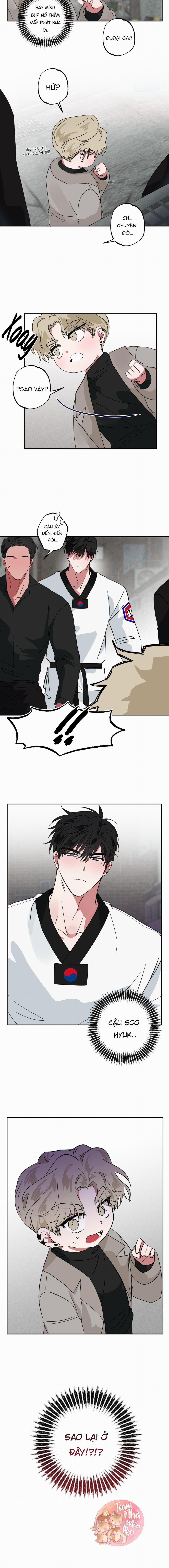 MÓN QUÀ BẤT NGỜ 8 trang 7