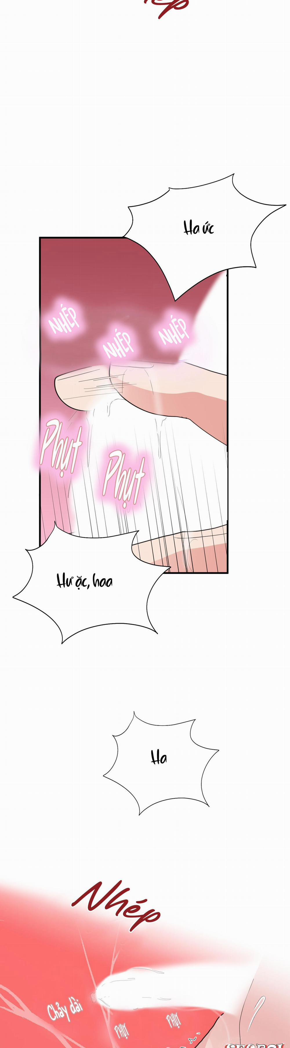 Món Quà Dành Cho Kẻ Ngạo Mạn 10 trang 31