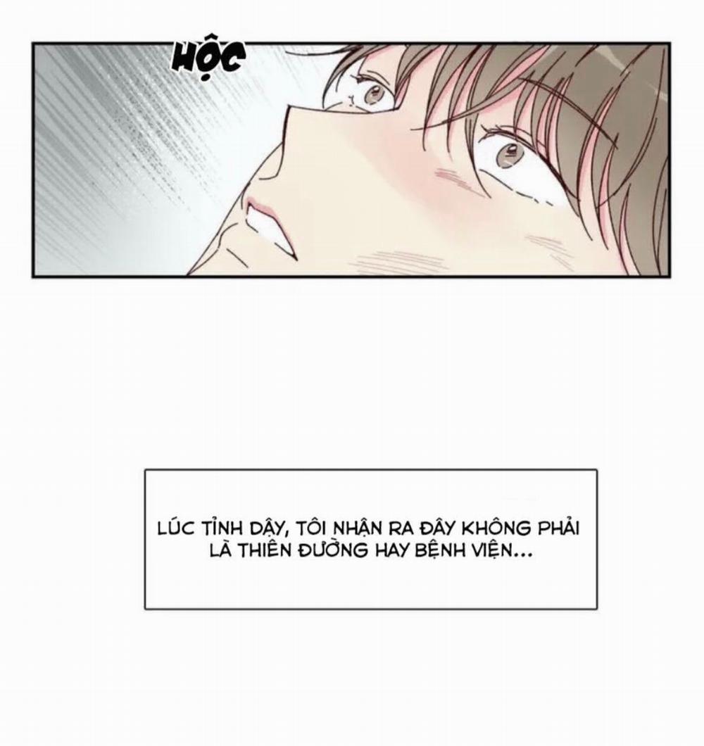 Món Tráng Miệng Của Sếp Tổng 1 trang 13