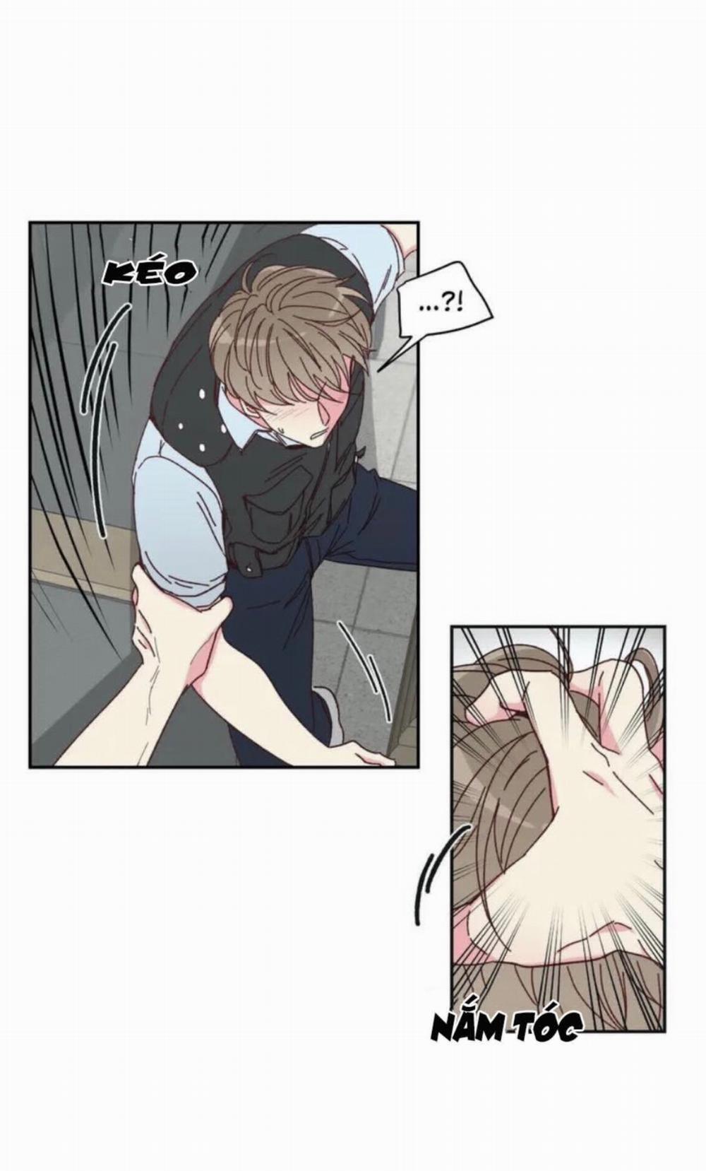 Món Tráng Miệng Của Sếp Tổng 1 trang 16