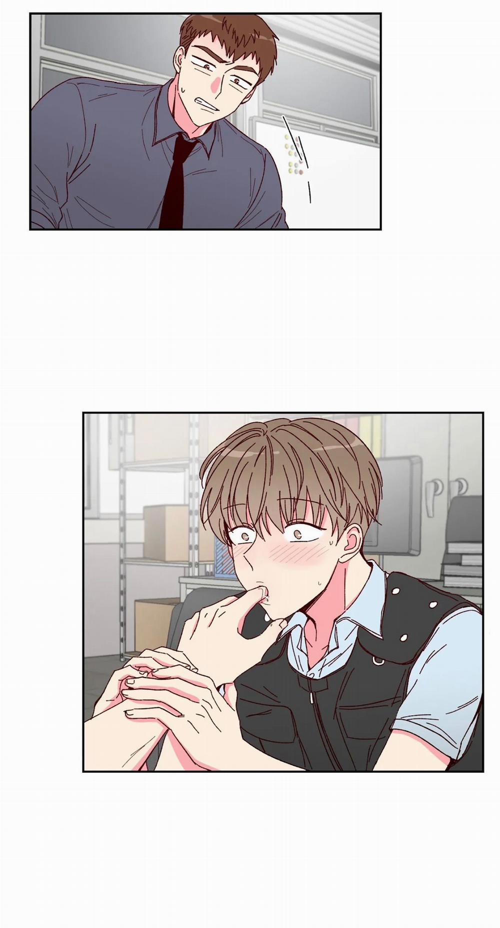 Món Tráng Miệng Của Sếp Tổng 2 trang 0