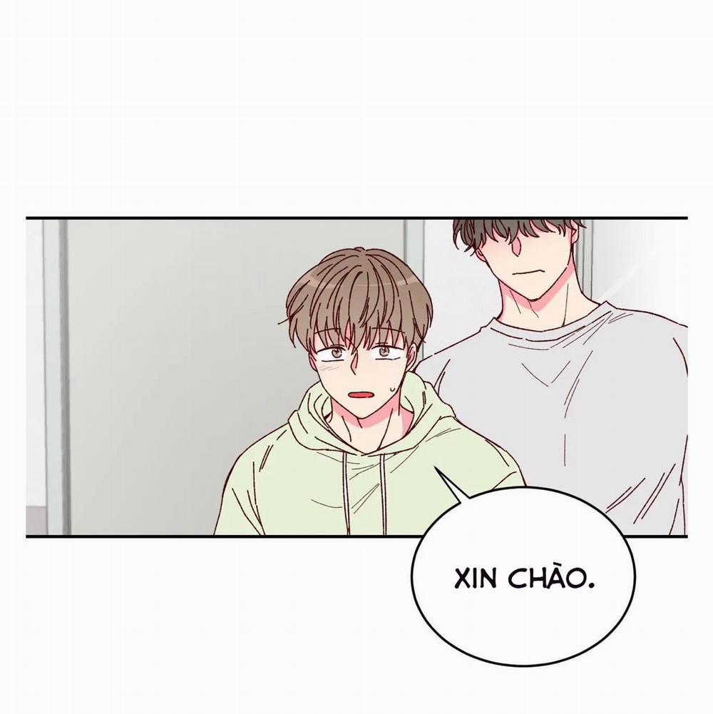 Món Tráng Miệng Của Sếp Tổng 2 trang 30