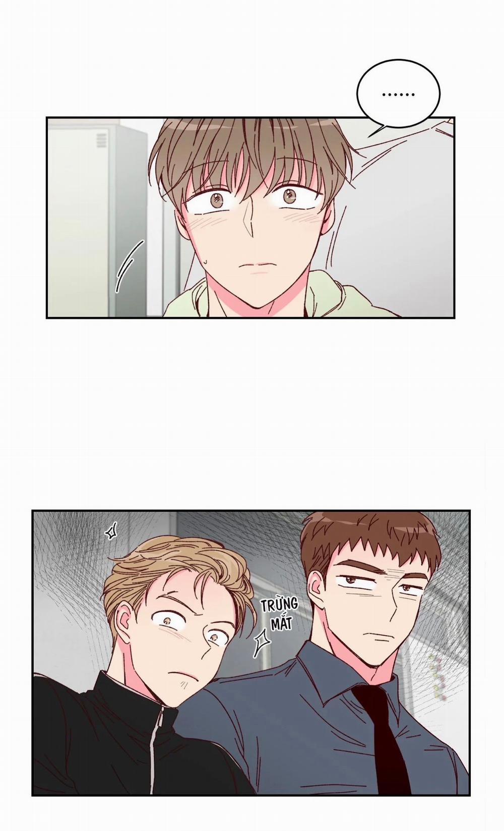 Món Tráng Miệng Của Sếp Tổng 2 trang 33
