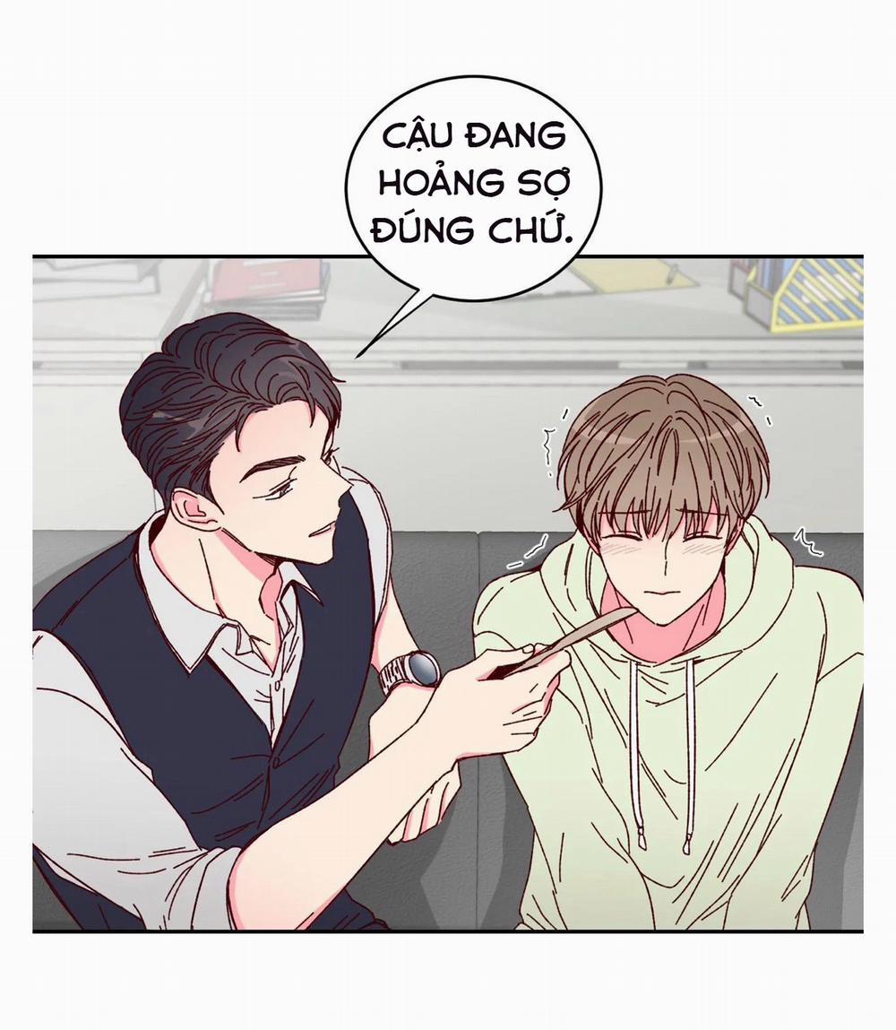 Món Tráng Miệng Của Sếp Tổng 2 trang 41