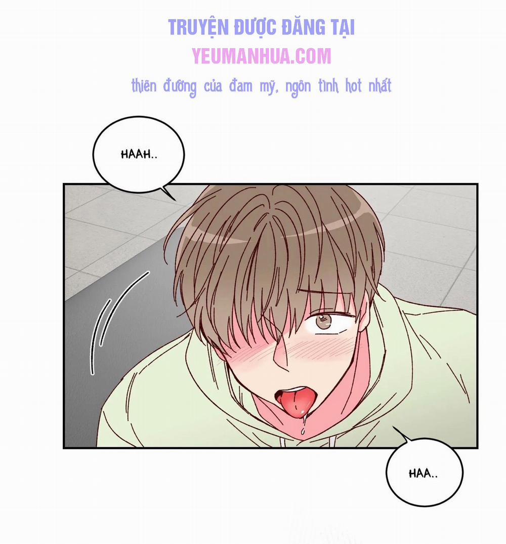 Món Tráng Miệng Của Sếp Tổng 2 trang 54