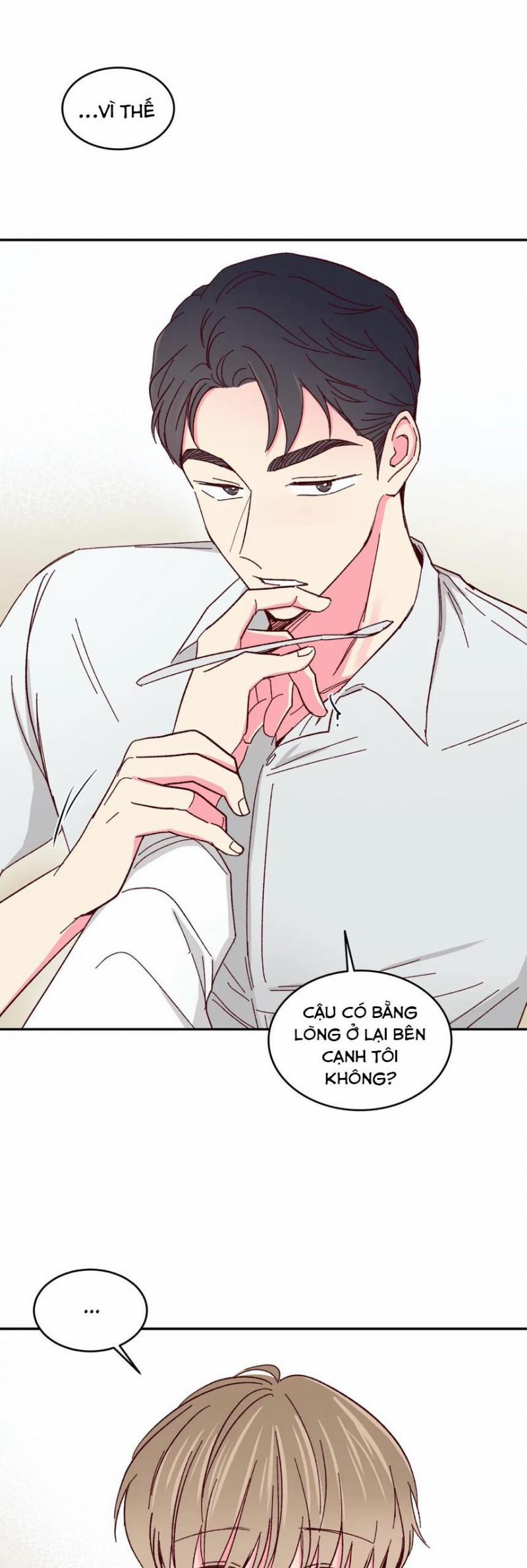 Món Tráng Miệng Của Sếp Tổng 51 trang 1