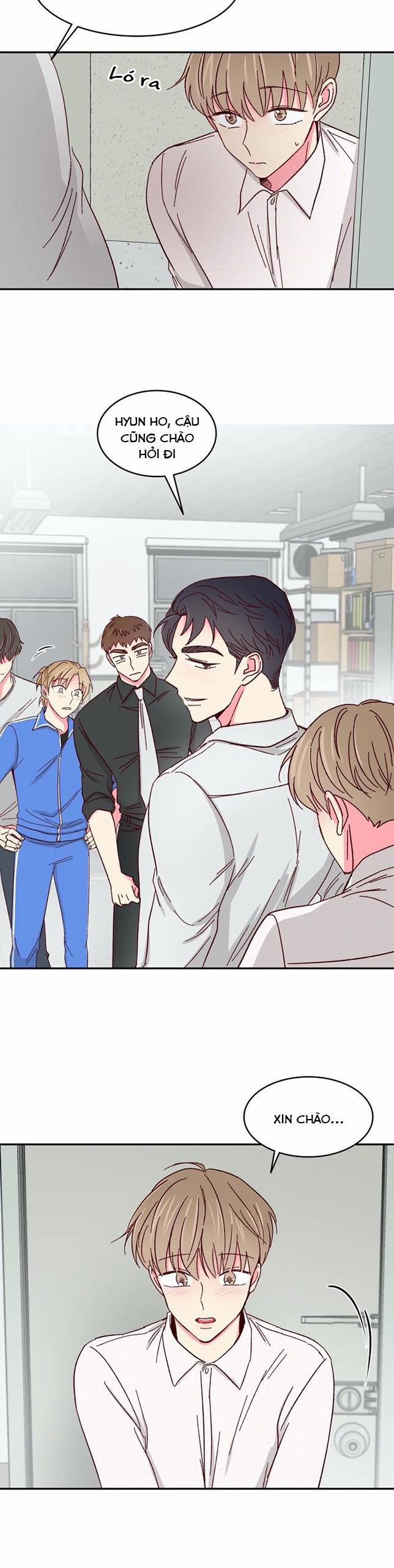 Món Tráng Miệng Của Sếp Tổng 51 trang 12