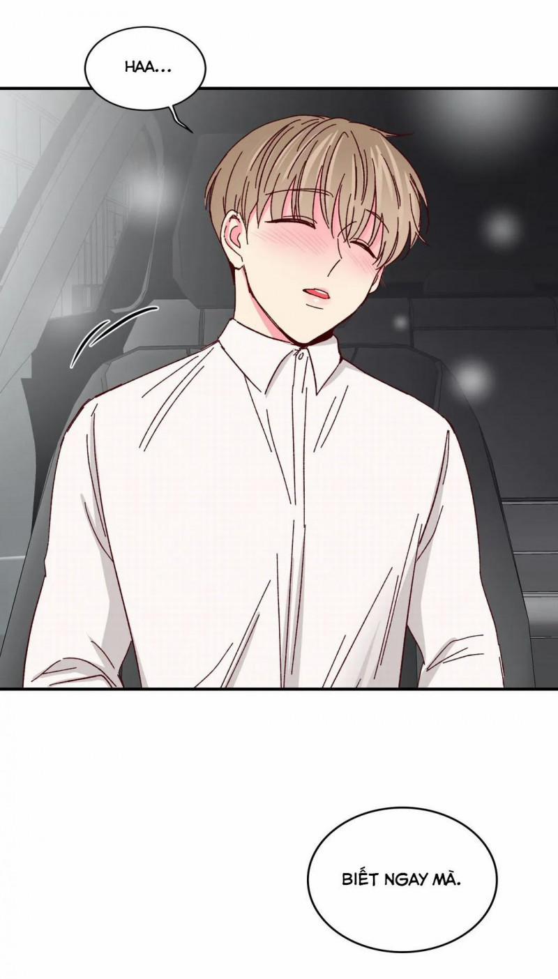 Món Tráng Miệng Của Sếp Tổng 52 trang 23