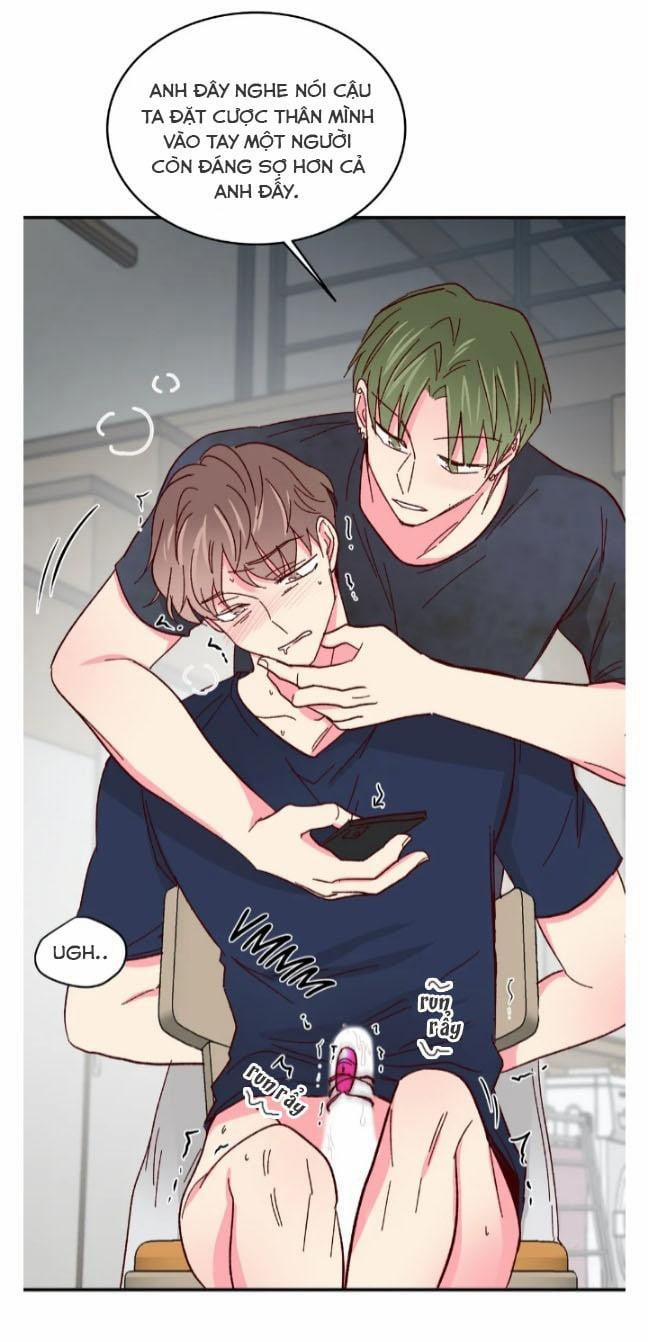 Món Tráng Miệng Của Sếp Tổng 52 trang 42