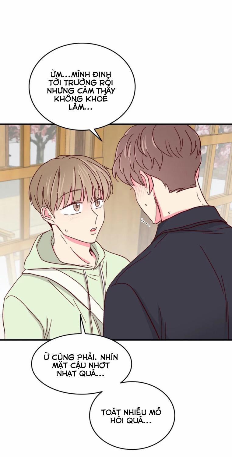 Món Tráng Miệng Của Sếp Tổng 54 trang 30