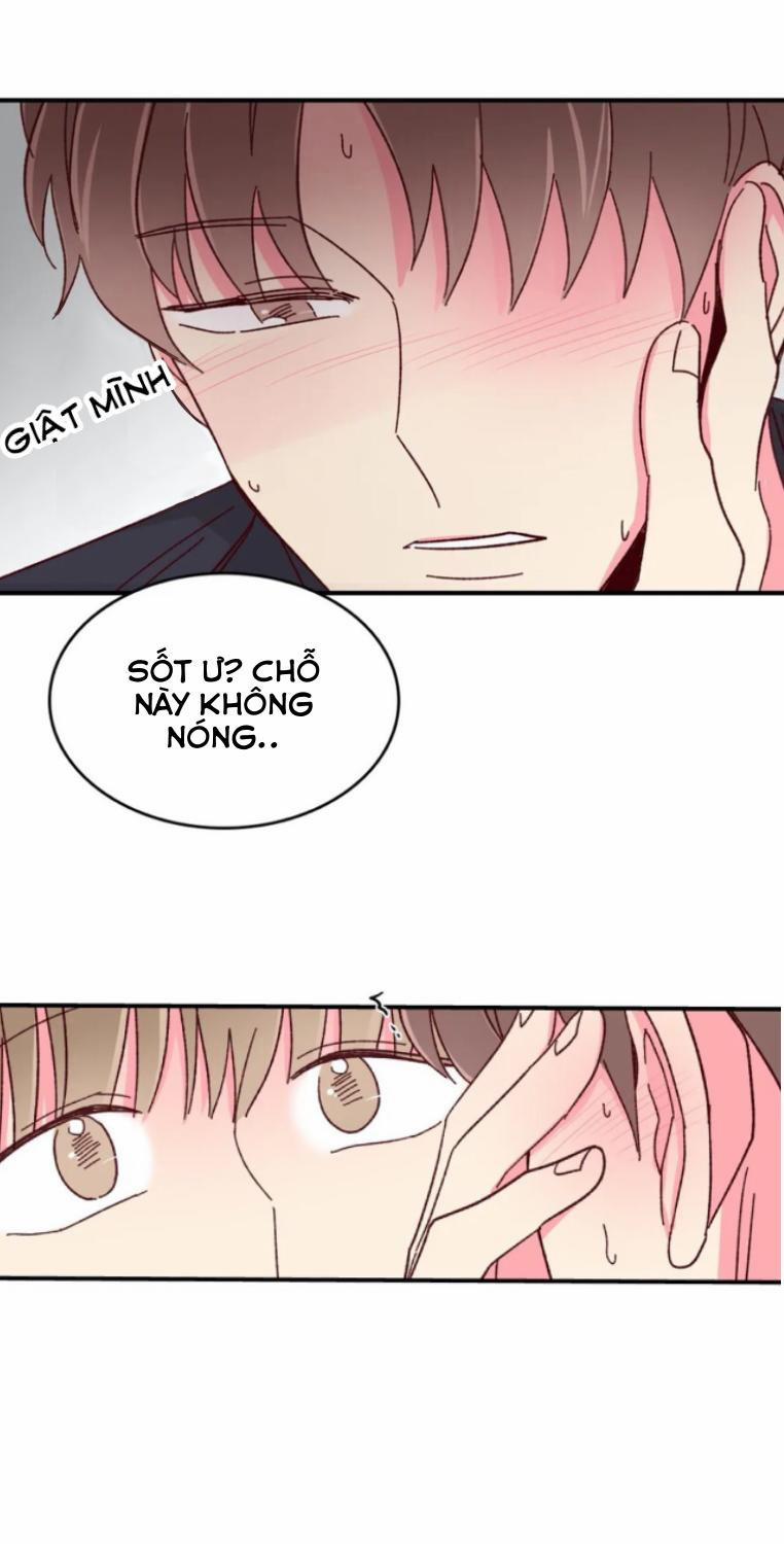 Món Tráng Miệng Của Sếp Tổng 54 trang 31
