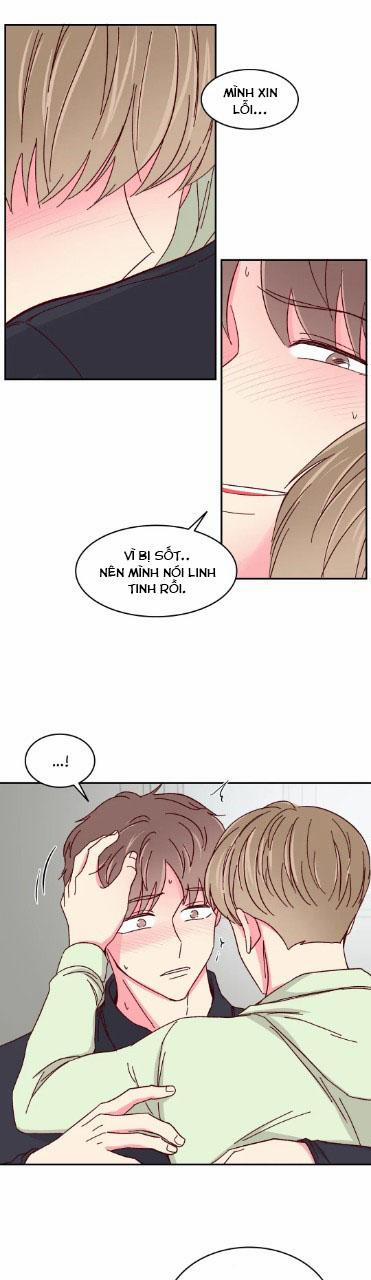 Món Tráng Miệng Của Sếp Tổng 55 trang 10