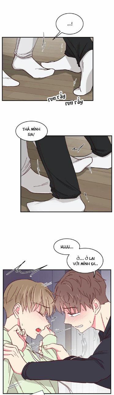 Món Tráng Miệng Của Sếp Tổng 55 trang 18