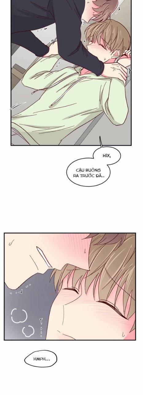 Món Tráng Miệng Của Sếp Tổng 55 trang 21