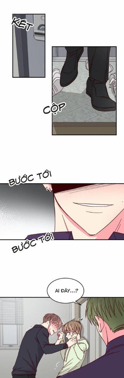 Món Tráng Miệng Của Sếp Tổng 55 trang 22