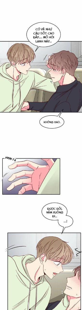 Món Tráng Miệng Của Sếp Tổng 55 trang 6