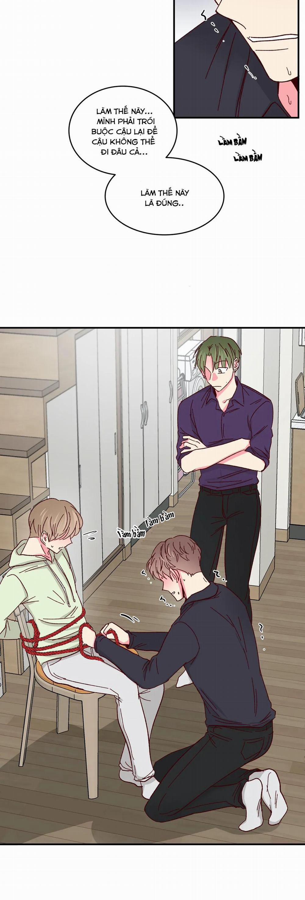 Món Tráng Miệng Của Sếp Tổng 56 trang 12