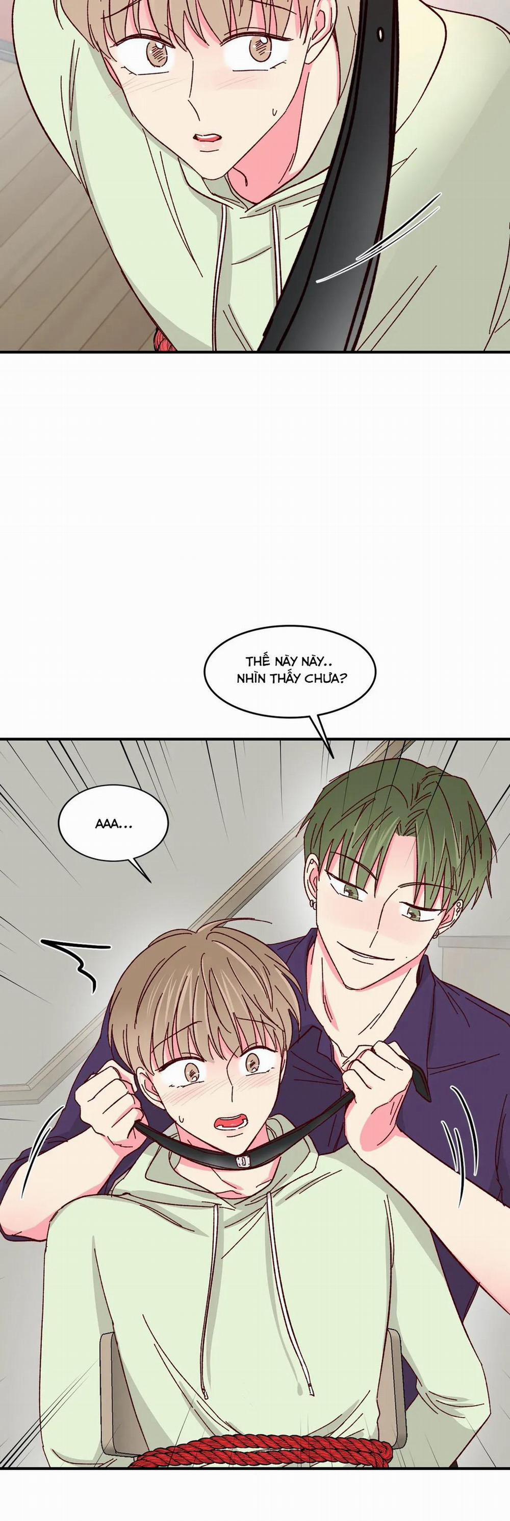Món Tráng Miệng Của Sếp Tổng 56 trang 18