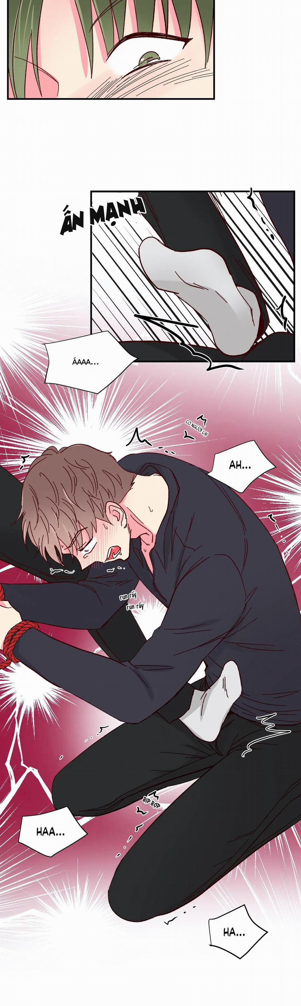 Món Tráng Miệng Của Sếp Tổng 56 trang 21