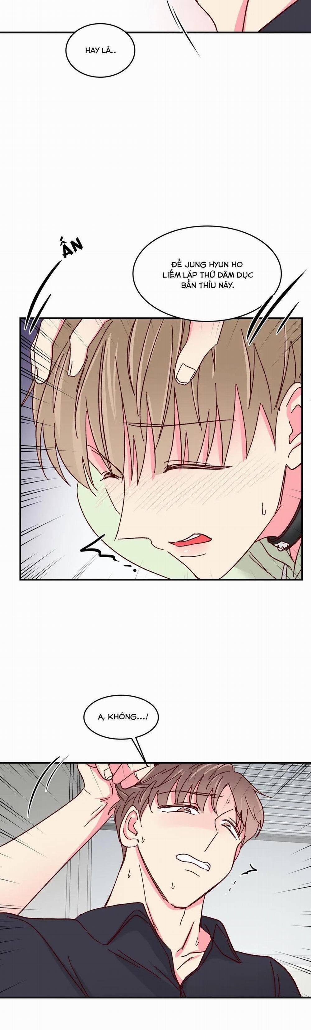 Món Tráng Miệng Của Sếp Tổng 56 trang 25