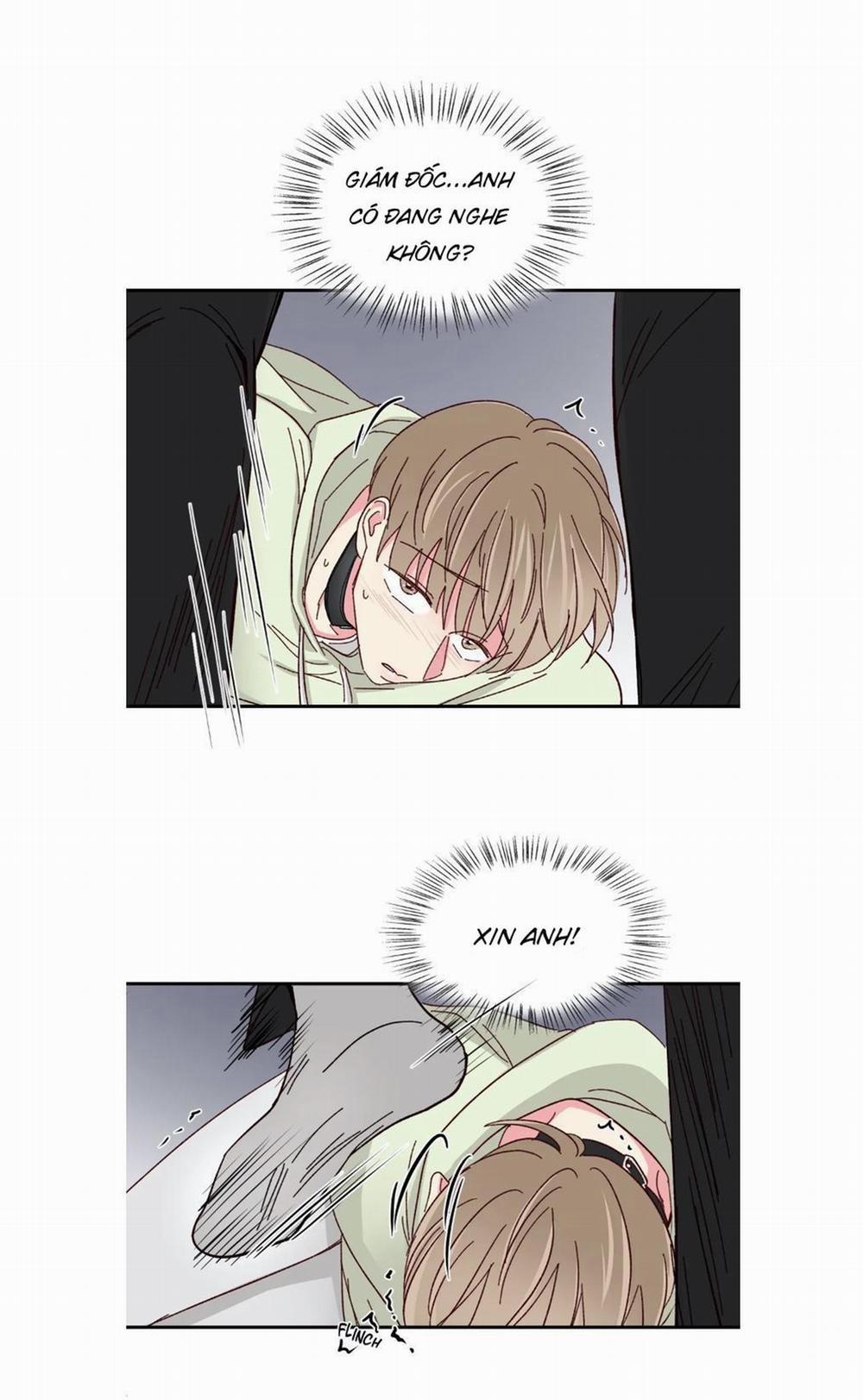 Món Tráng Miệng Của Sếp Tổng 57 trang 10