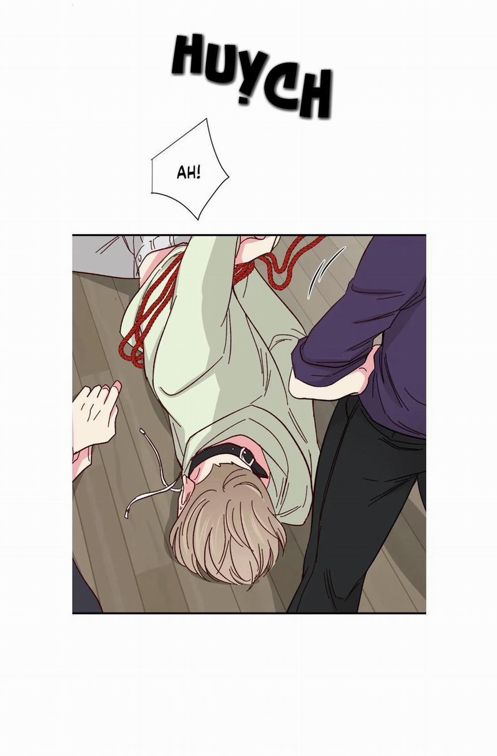 Món Tráng Miệng Của Sếp Tổng 57 trang 11