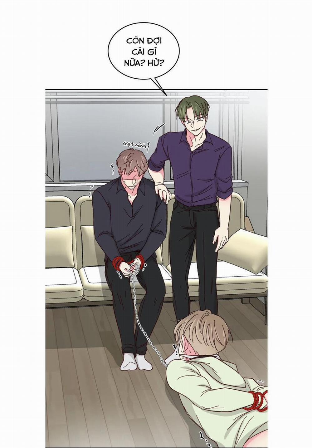 Món Tráng Miệng Của Sếp Tổng 57 trang 21