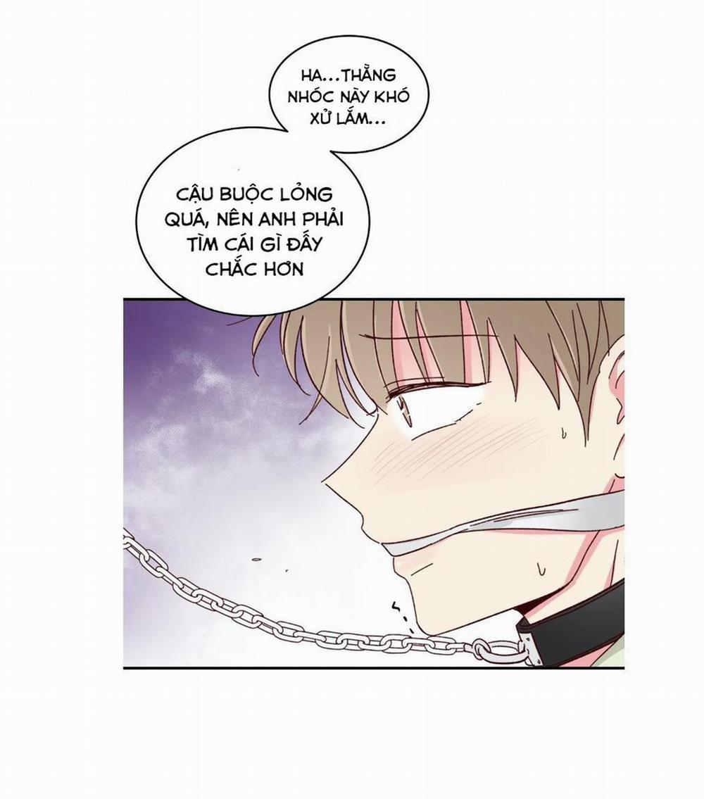 Món Tráng Miệng Của Sếp Tổng 57 trang 23