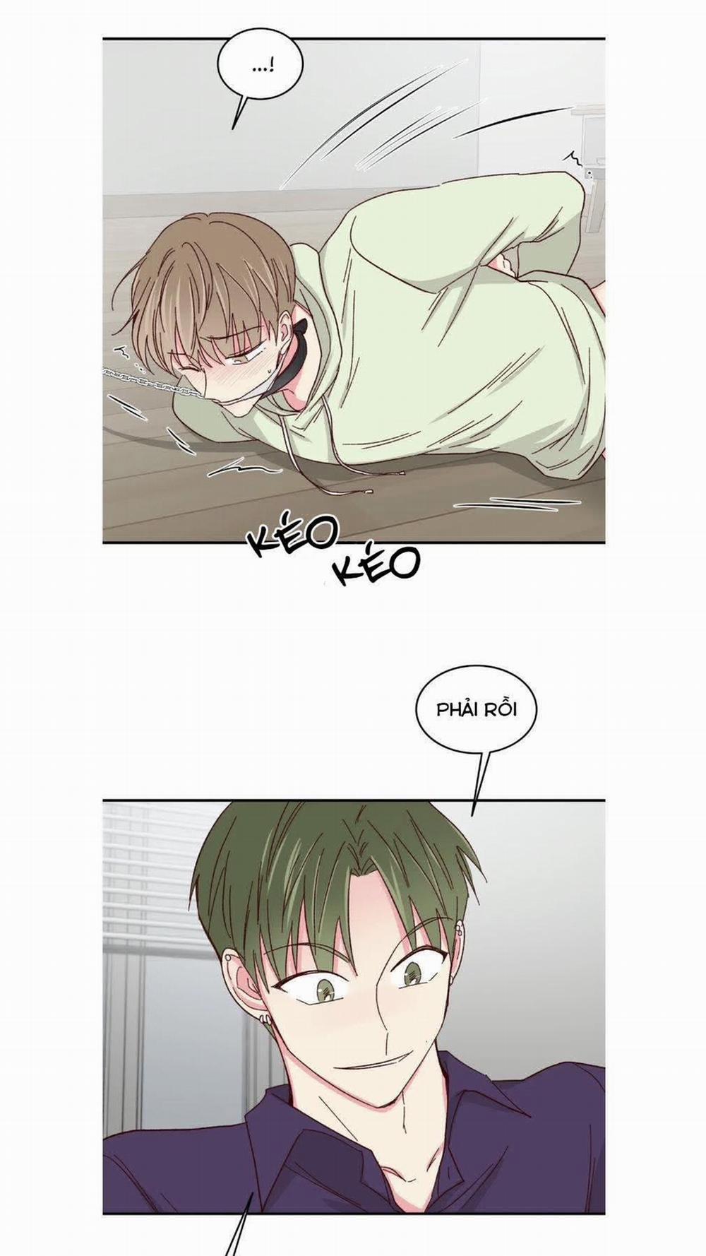 Món Tráng Miệng Của Sếp Tổng 57 trang 25