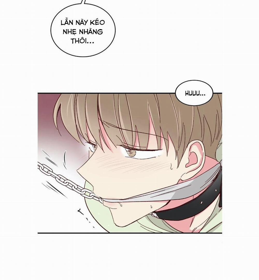 Món Tráng Miệng Của Sếp Tổng 57 trang 26