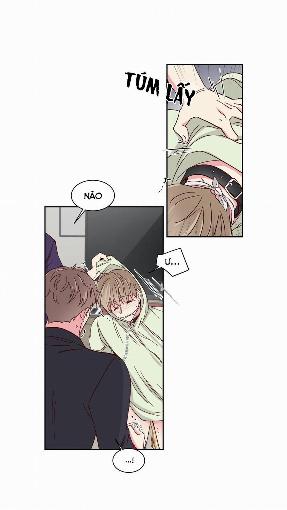 Món Tráng Miệng Của Sếp Tổng 57 trang 27