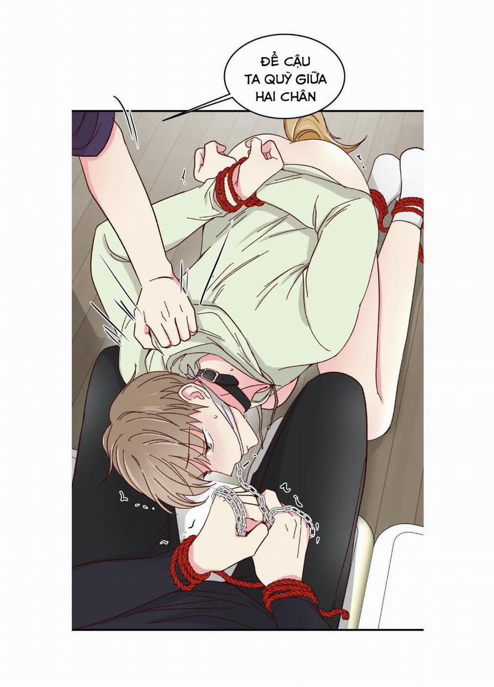 Món Tráng Miệng Của Sếp Tổng 57 trang 28