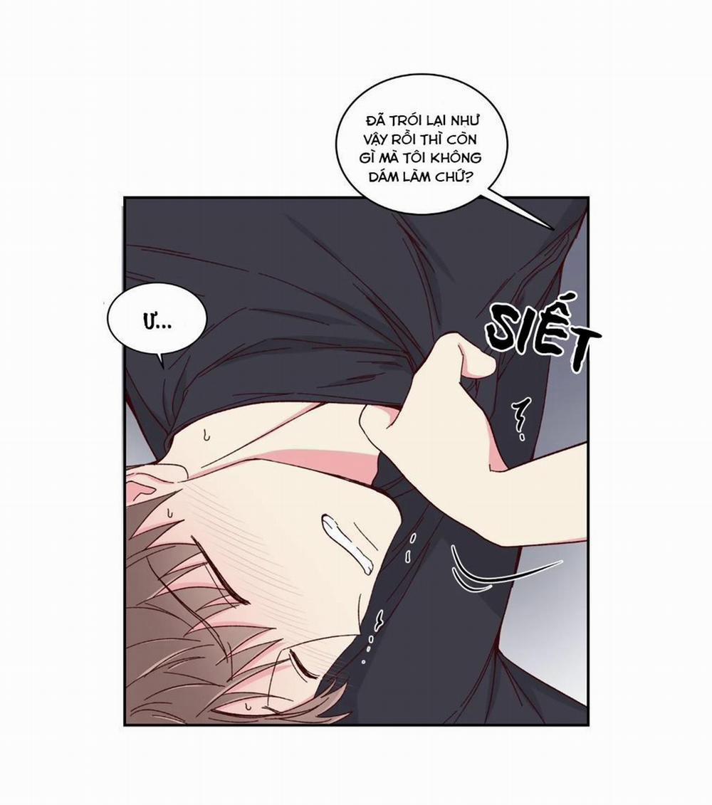 Món Tráng Miệng Của Sếp Tổng 57 trang 6