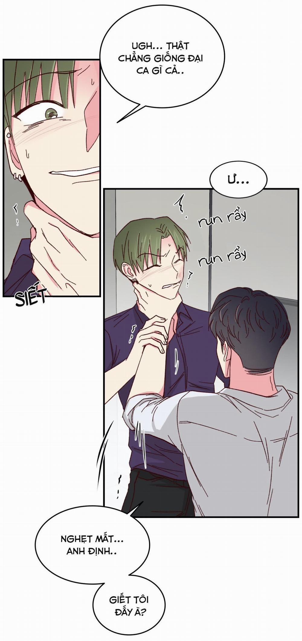 Món Tráng Miệng Của Sếp Tổng 58 trang 31