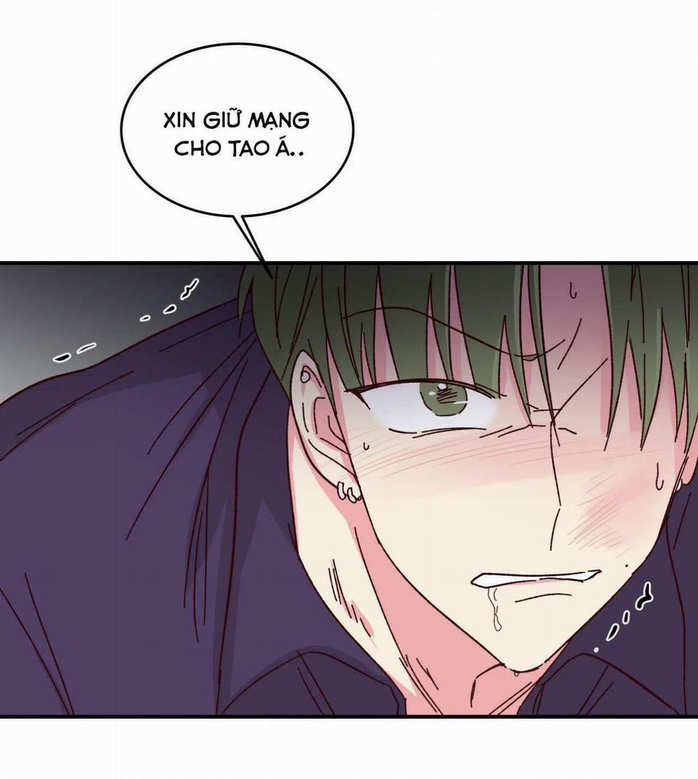 Món Tráng Miệng Của Sếp Tổng 58 trang 51