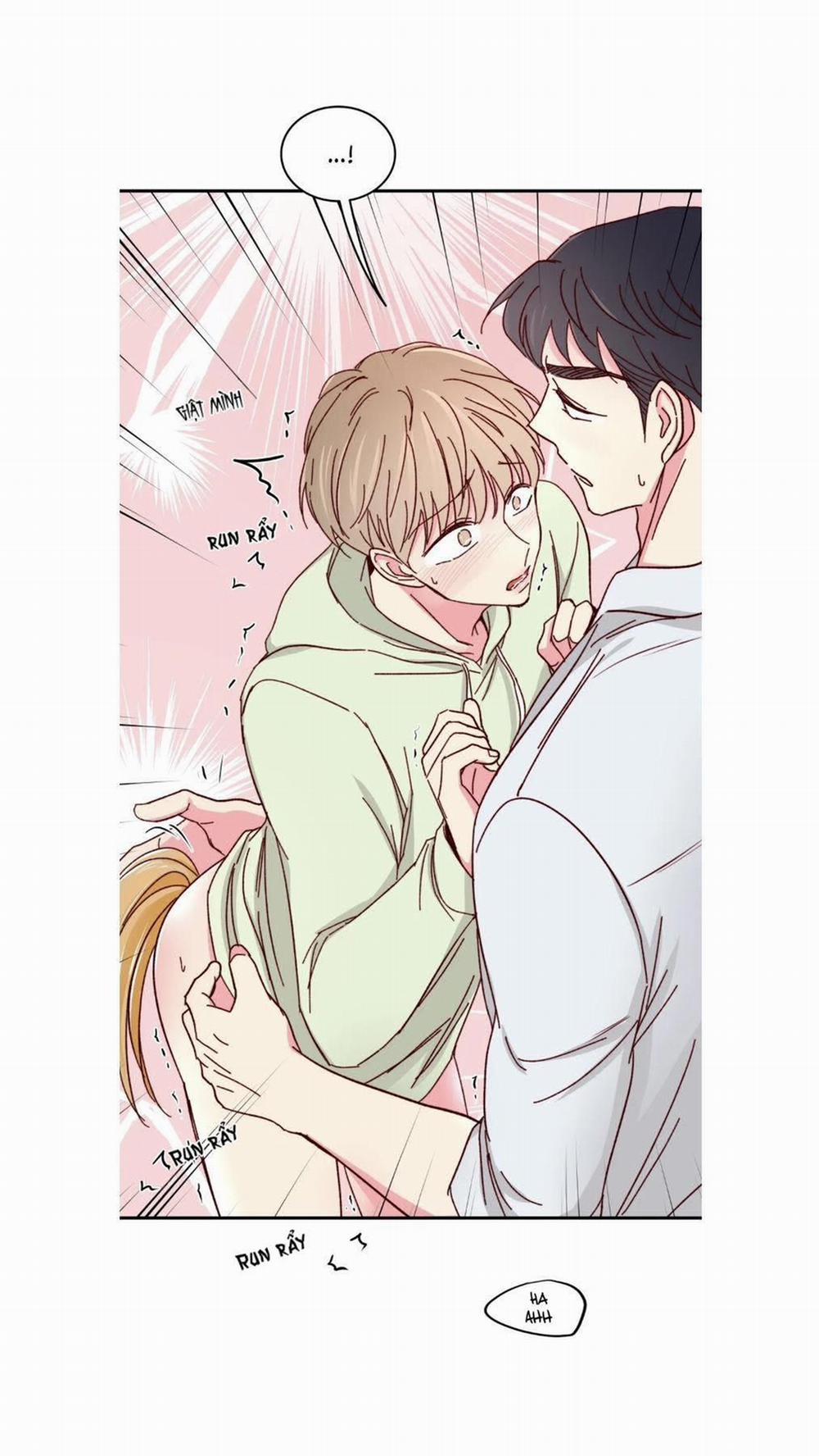 Món Tráng Miệng Của Sếp Tổng 59 trang 10