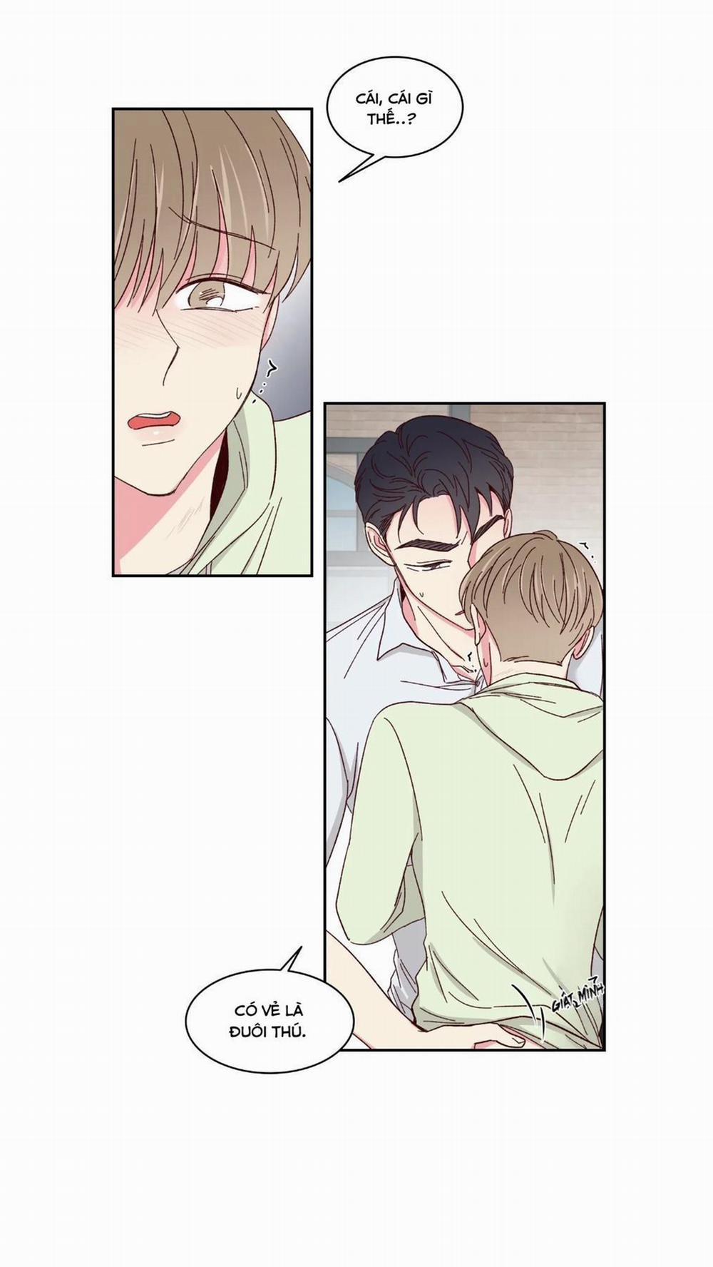 Món Tráng Miệng Của Sếp Tổng 59 trang 13