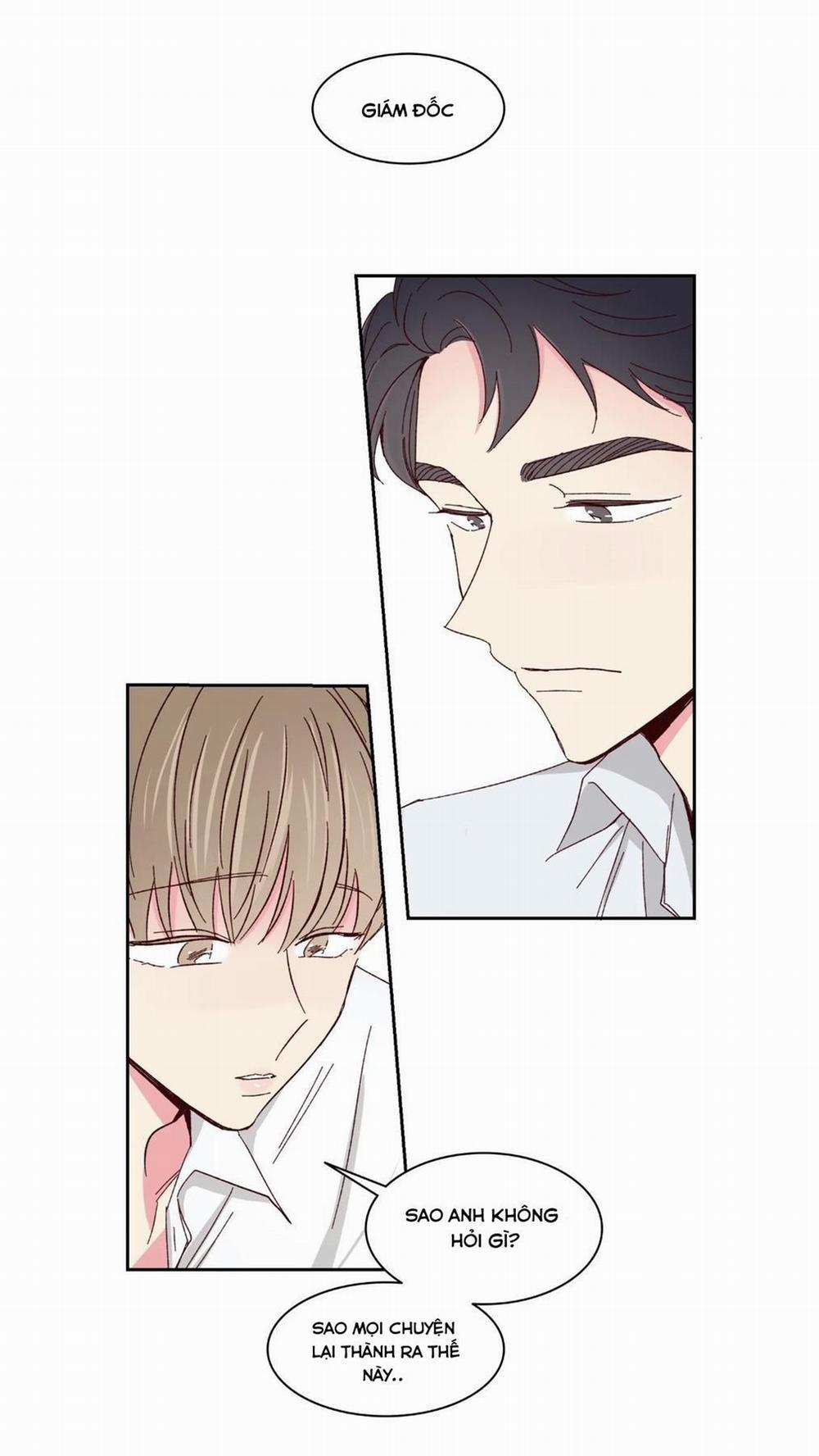 Món Tráng Miệng Của Sếp Tổng 59 trang 22