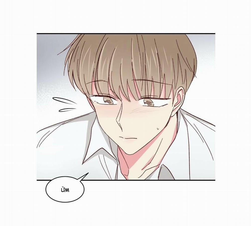 Món Tráng Miệng Của Sếp Tổng 59 trang 40